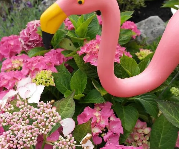 't Anker Alpstuga Elburg