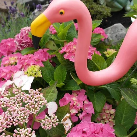 't Anker Alpehytte Elburg